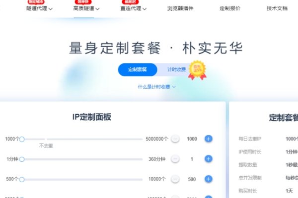 网络代理服务，安全匿名上网新选择-百挑一
