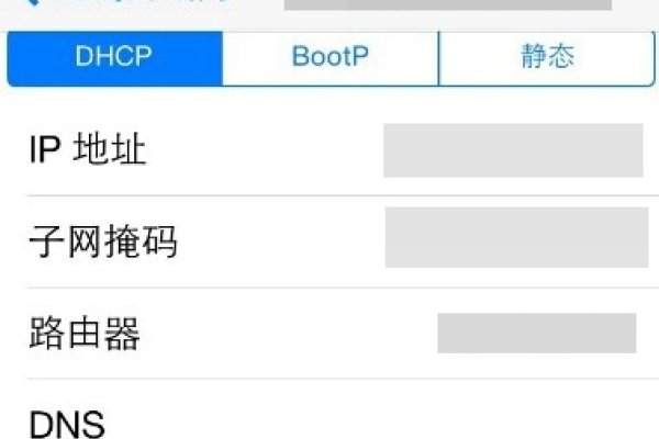 无效的DNS，网络连接中的隐形障碍-百挑一