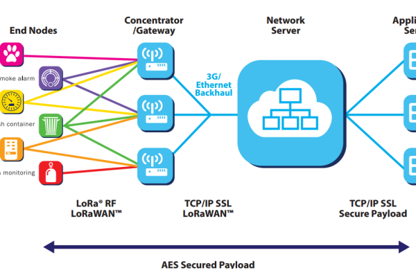 网络节点计算器，理解与应用-百挑一