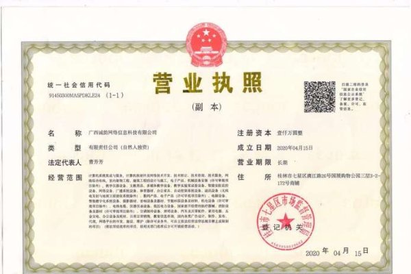 网络技术服务公司经营范围-百挑一