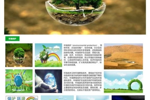 网页美工设计的核心素养-百挑一