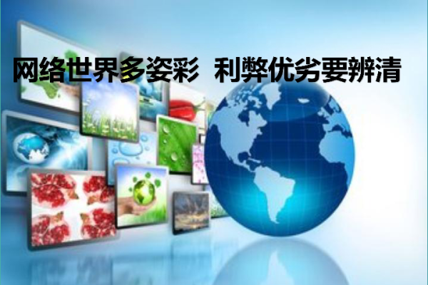 网络时代的双刃剑，利与弊的探讨-百挑一