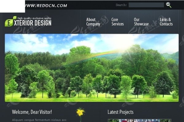 网页设计软件哪个最好用？全面解析市场上的热门选择-百挑一