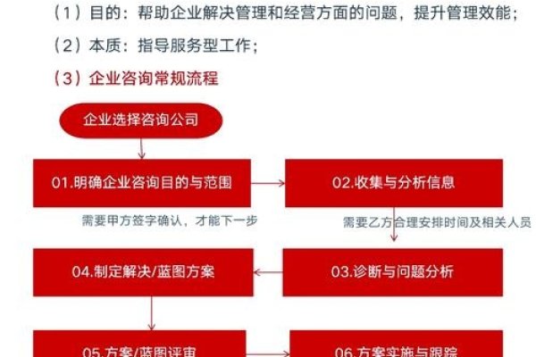 网络咨询公司业务全解析-百挑一