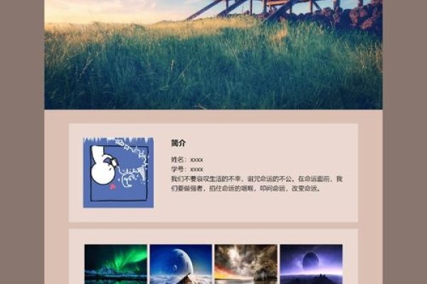 网页制作培训设计的探索与实践-百挑一