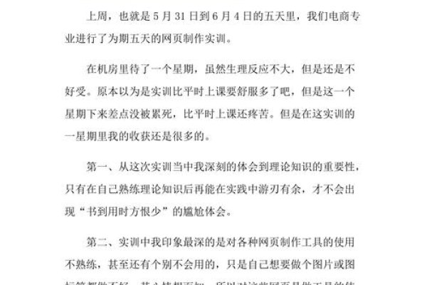 网页制作与设计实训心得-百挑一