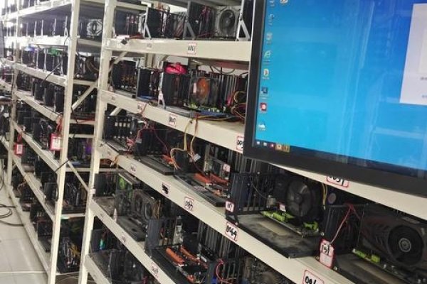 网站服务器租用热门推荐，哪里寻找可靠的服务器资源-百挑一