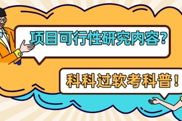 网站管理系统，经济可行性的探讨-百挑一