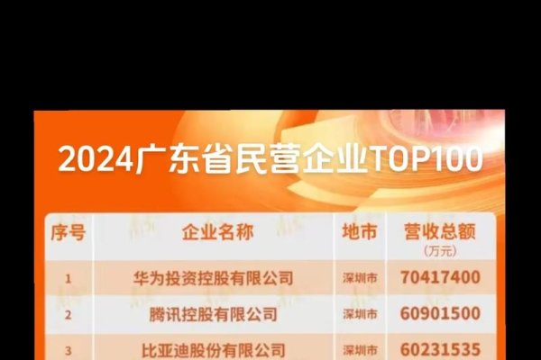 网站开发公司排行榜，东莞地区哪家好-百挑一