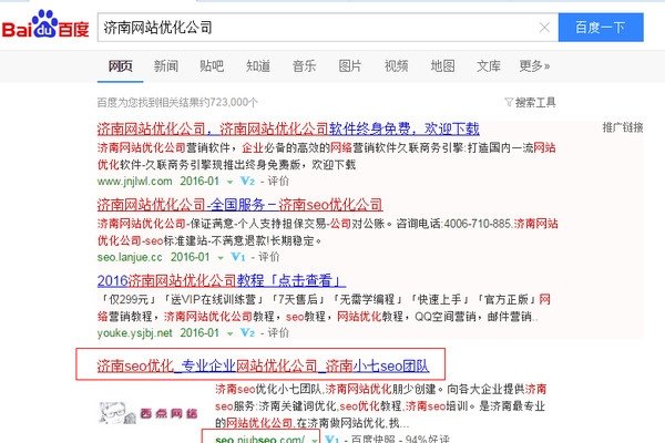 网站排名优化，选择哪个软件进行关键词优化比较好？-百挑一