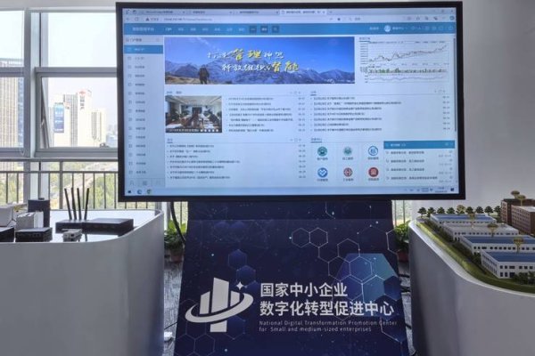 网站群建设公司，引领企业数字化新篇章-百挑一