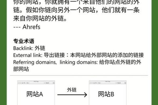 网站外链解析与查询策略，常见问题及解决建议简洁明了，直接概括了文章的主要内容）-百挑一