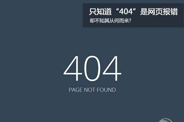 网站维护中的错误代码解析，HTTP 404与5xx状态码处理指南-百挑一