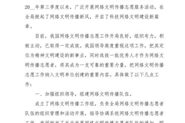 网站宣传工作总结汇报-百挑一