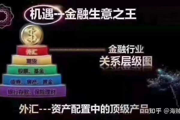 网站托管服务与外汇托管的可靠性考量-百挑一