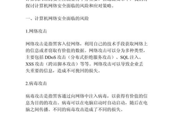 网站攻击案例分析，安全风险与应对策略-百挑一
