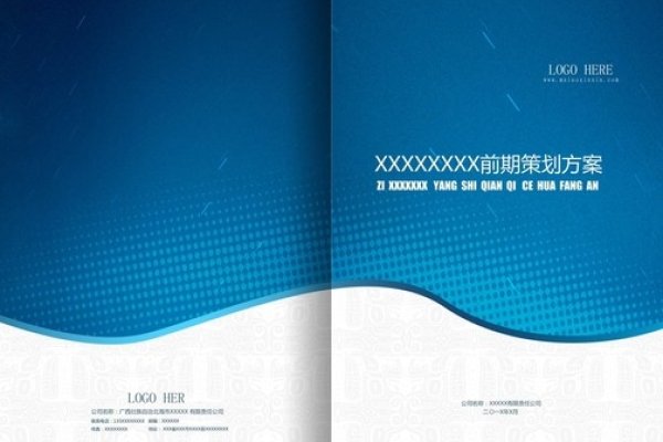 网站项目建议书-百挑一