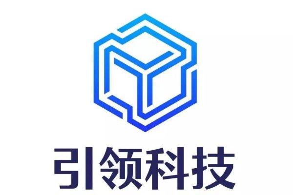 西安网络技术有限公司，引领网络科技新篇章-百挑一