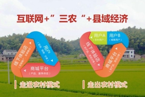 乡村电商与土地资源利用，农村创业项目，土特产线上销售及土地价值挖掘-百挑一