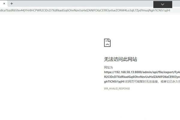 缓存服务器无法解析您输入的网址-百挑一