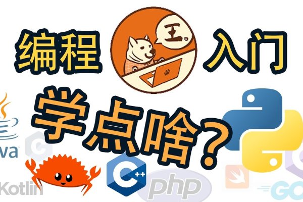 编程入门，先学什么BASIC？-百挑一