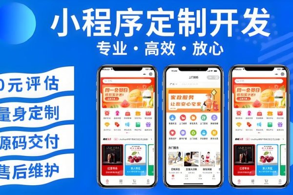 小程序定制版下载，打造专属应用体验-百挑一