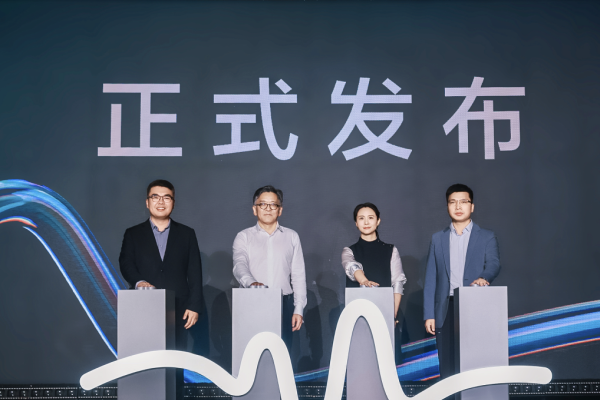 小程序服务平台，推动数字化服务的新引擎-百挑一