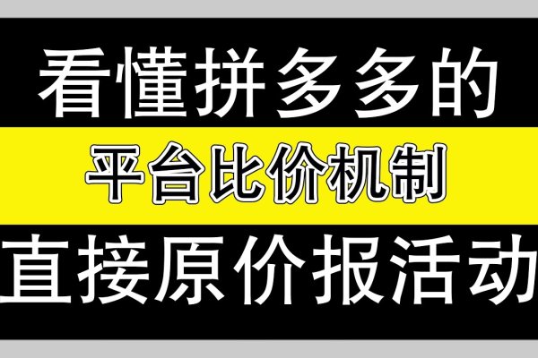 拼多多淘宝代运营，一站式解决方案-百挑一