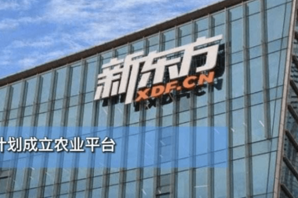 新东方直播带货火爆网络，探索转型与市场机遇-百挑一