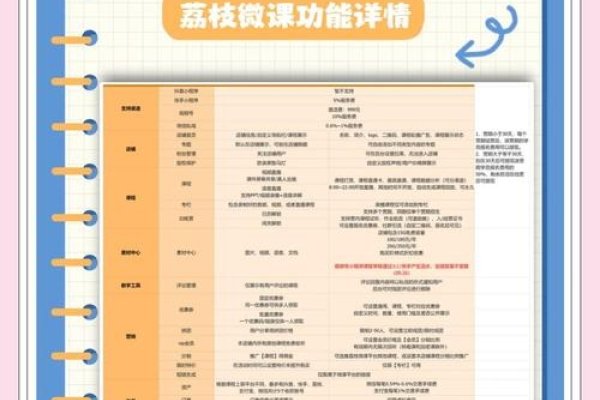 付费网站解析，价值、优势与使用指南-百挑一