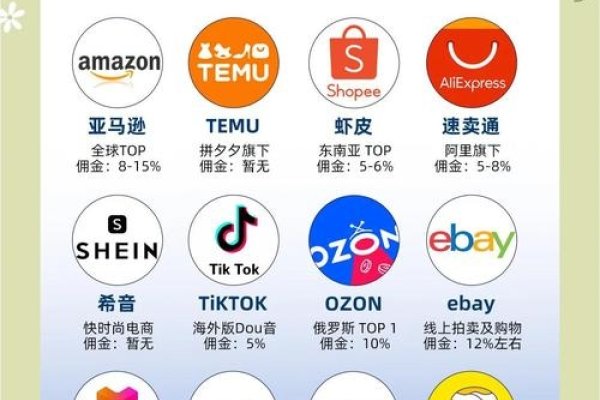 免费跨境电商平台-百挑一