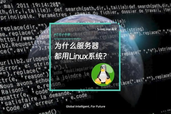 免费Linux服务器，探索与利用-百挑一