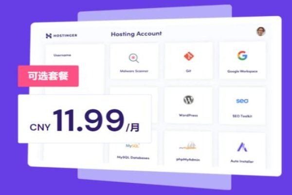 免费虚拟主机2023，选择与使用指南-百挑一