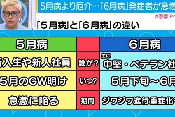 免费一级域名曰本，探索日本域名市场的独特魅力-百挑一