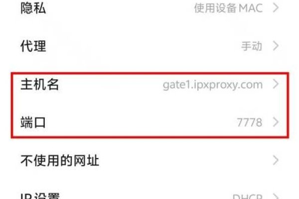 韩国代理IP使用指南，如何设置并下载流媒体文件？-百挑一