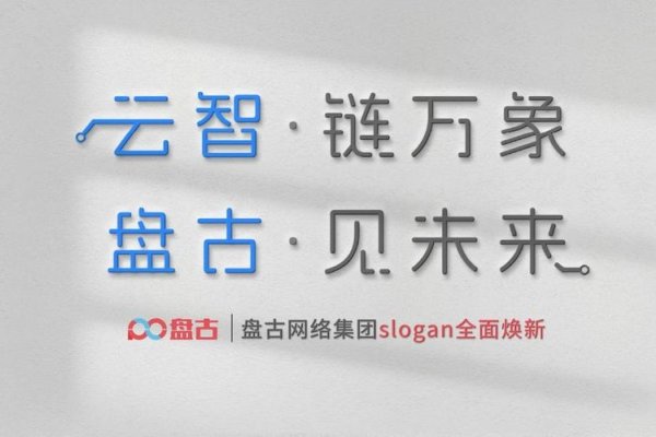 盘古网络公司简介-百挑一