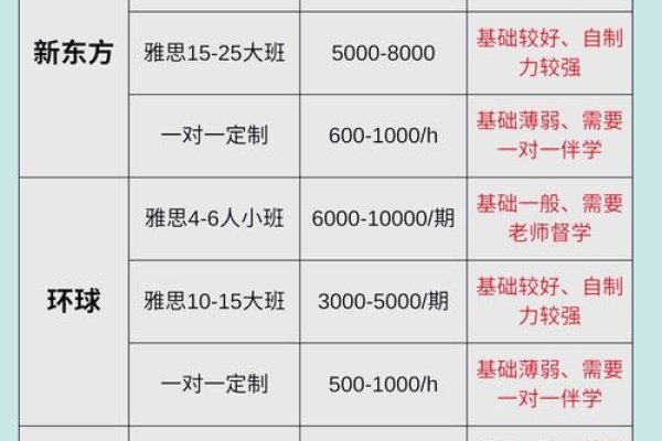 新航道雅思培训费用解析,一对一辅导与课程类型详述-百挑一