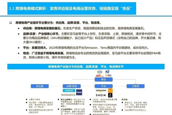 跨境电商行业的前景与挑战并存-百挑一