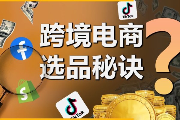 跨境电商平台选择指南-百挑一