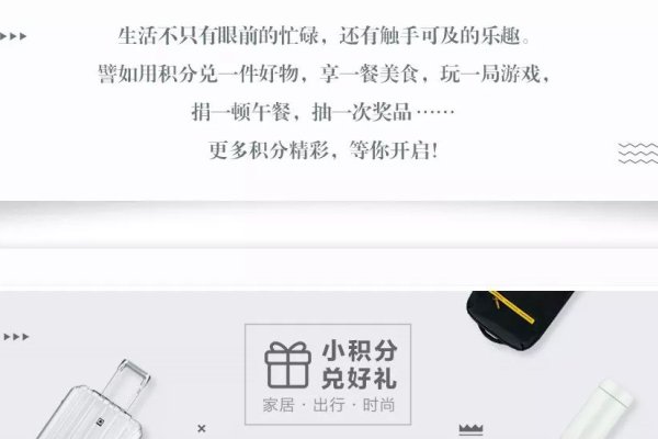 搭建积分商城网站，构建积分经济新纪元-百挑一