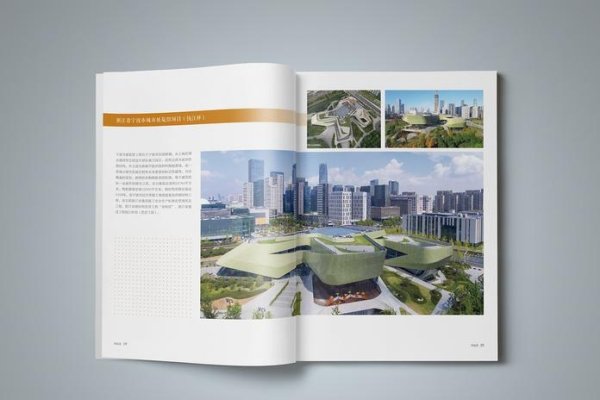浙江网站建设与画册设计的融合艺术-百挑一