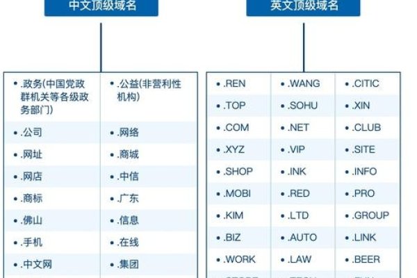 顶级域名种类与选择指南-百挑一