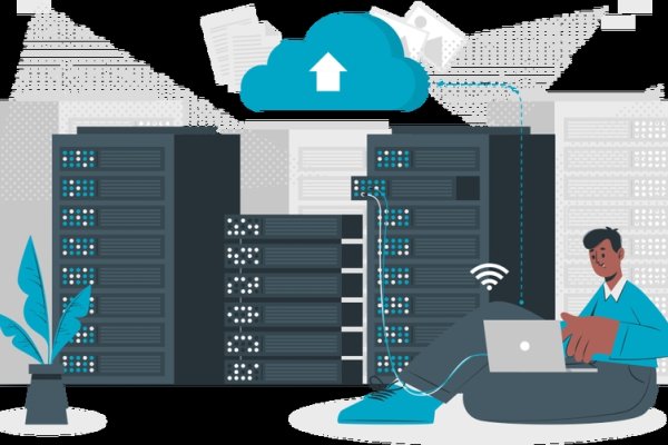 徕卡云服务器，引领未来的云计算技术-百挑一