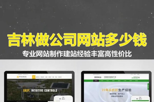 吉林地区制作网站所需费用解析-百挑一