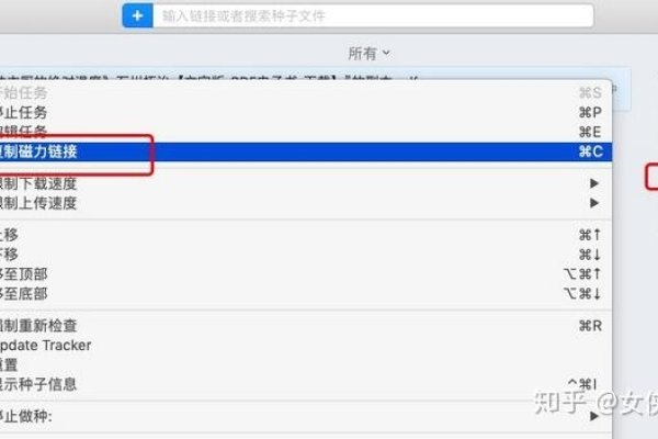 磁力链接与种子文件，P2P共享的两种形式-百挑一