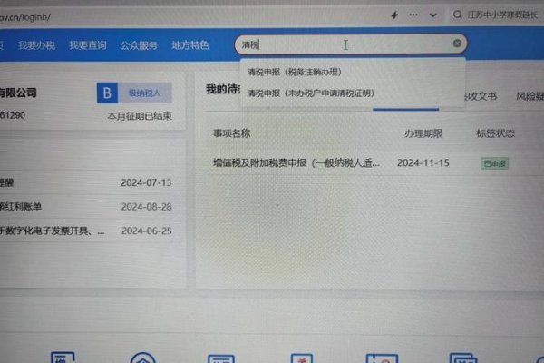 域名备案注销操作指南，步骤、注意事项与风险应对，确定要注销后，需备好材料提交申请。途径有工信部官网下载表格书面申请或联系空间服务商申请。操作时需注意未满足特定时间条件不可轻易操作，避免被动侵权风险及法律问题。-百挑一