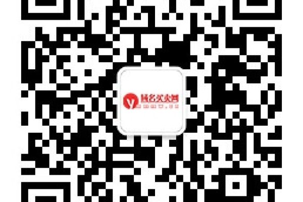 域名的买卖，如何安全交易及选择可靠平台？-百挑一