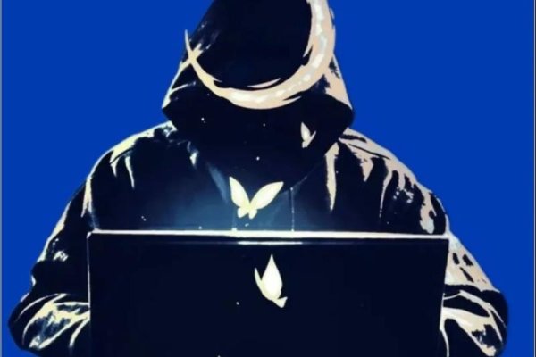 致命公司服务器失联危机,挑战与解决方案-百挑一