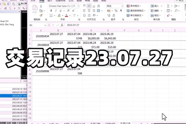 域名历史交易记录，市场变迁的见证-百挑一