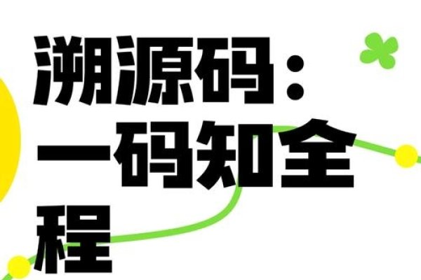 域名历史查询网，追溯数字时代的身份印记-百挑一